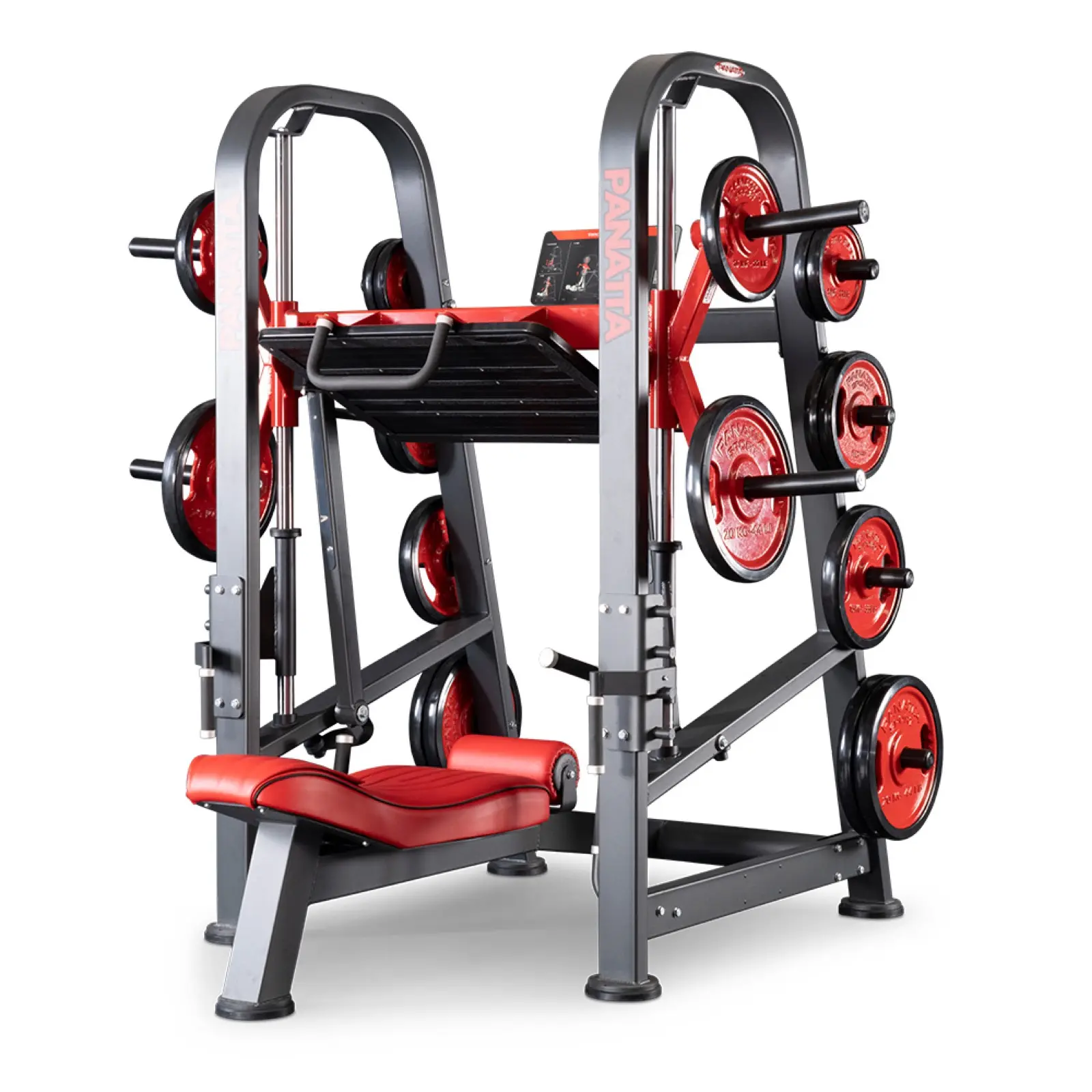 Panatta cable / pulley station — close-up